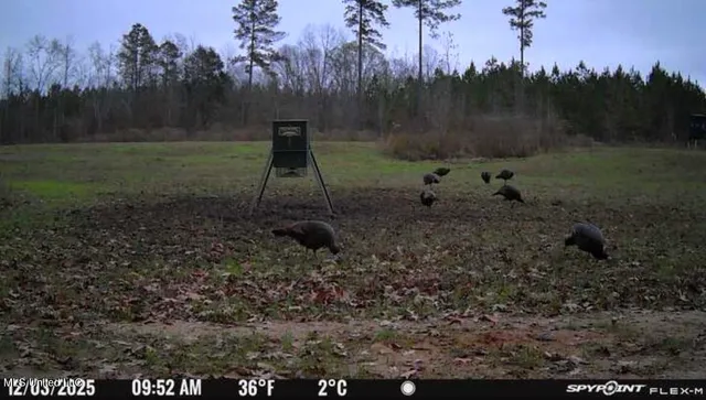 $1,799,000 | 1711 Highway 82, Eupora, MS 39744