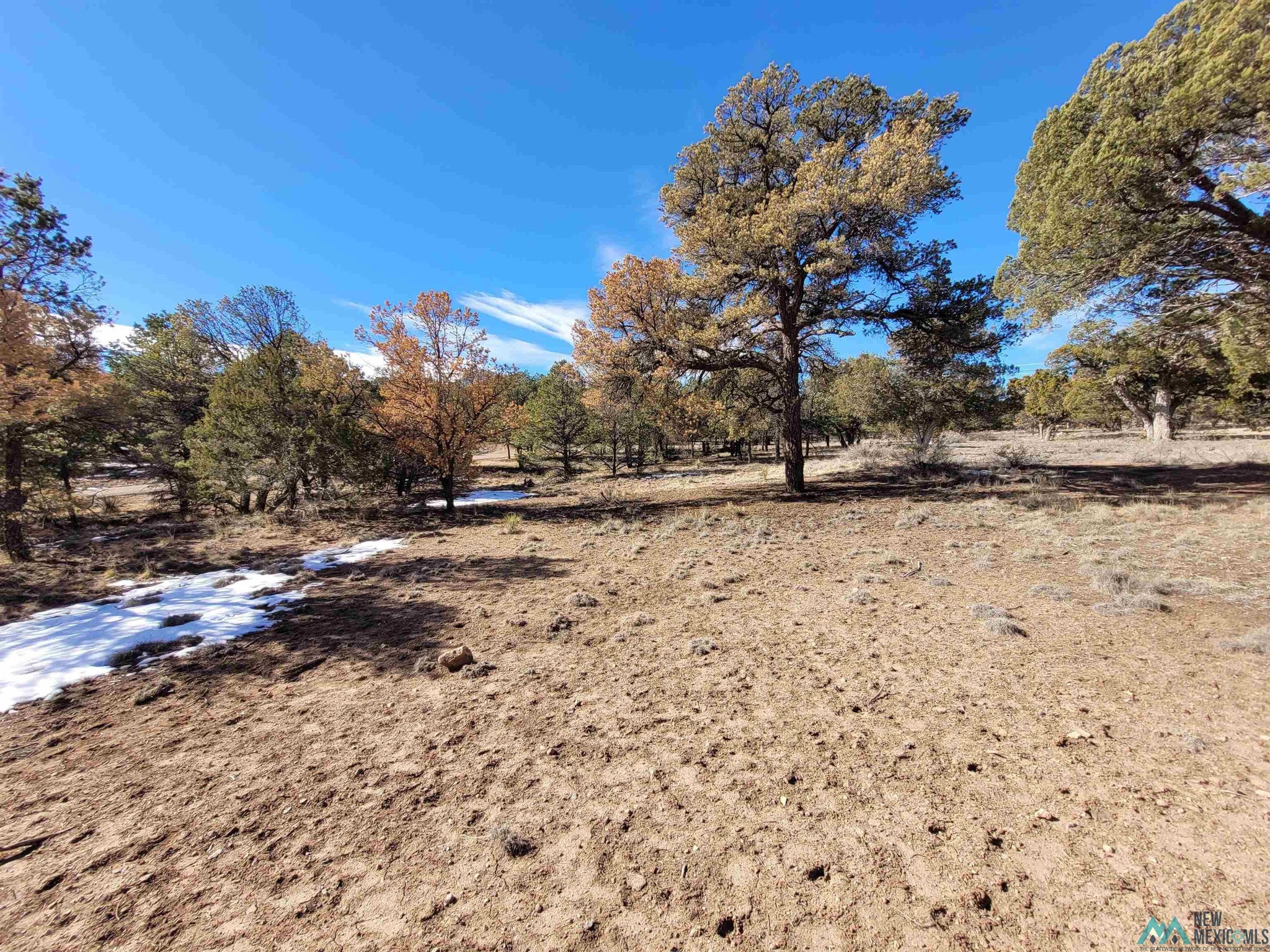 0 Homestead Trail, Unit 37 Datil, NM 87821 - Photo 8 of 20 Gallery Image 8