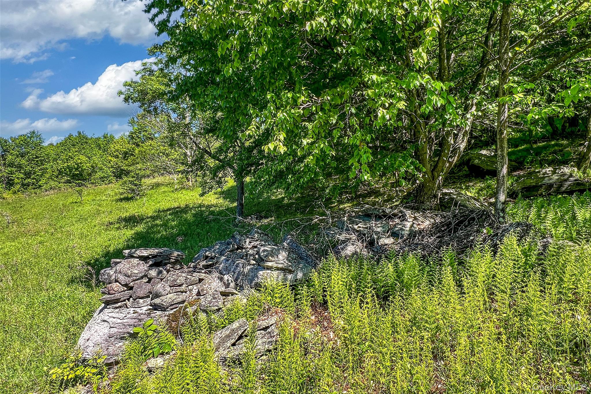 26 Federal Hill 2 Road Delhi, NY 13753 - Photo 33 of 50