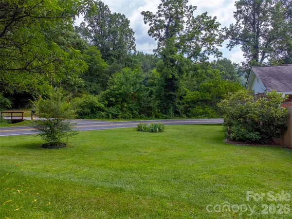 a view of a garden with large trees
