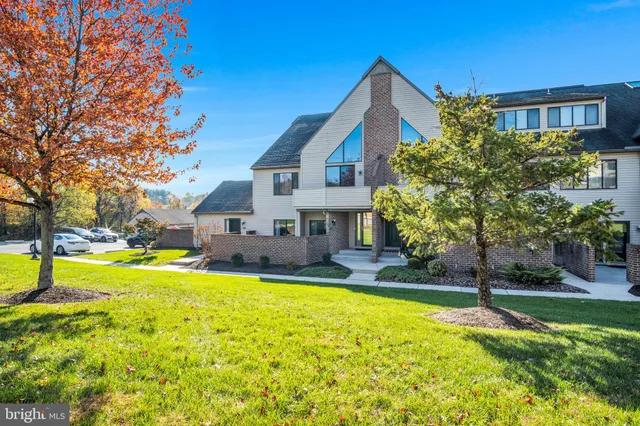 a view of a house with a big yard potted plants and large tree