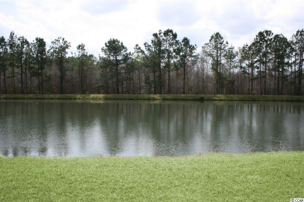 4005 Ridgewood Drive Conway, SC 29526 - Photo 20 of 24 Gallery Image 20