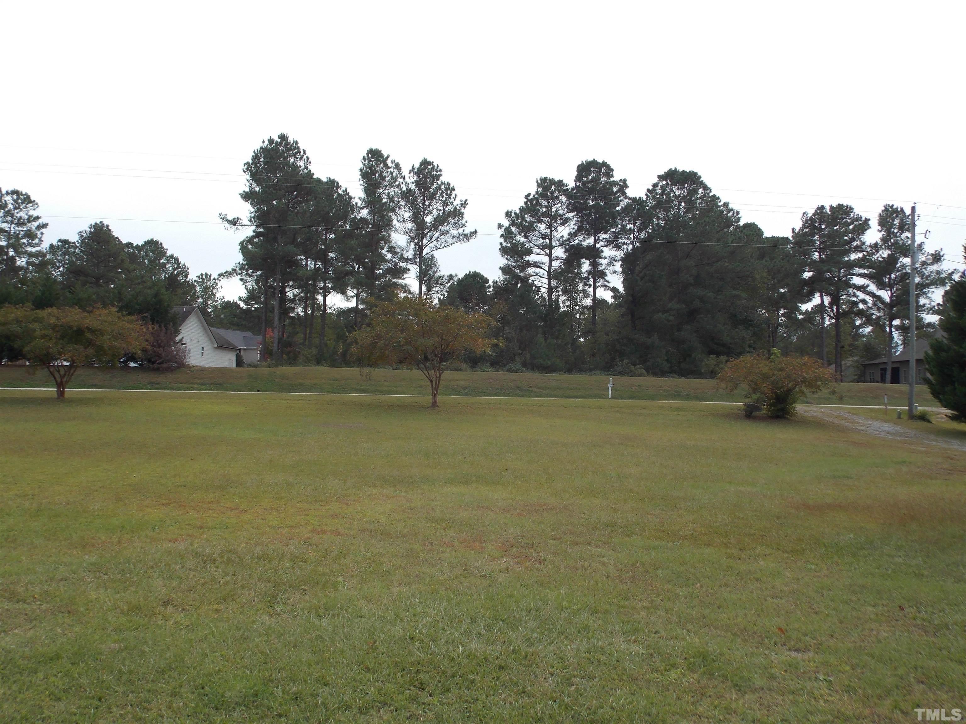 290 Sweetbriar Road Willow Spring, NC 27592 - Photo 5 of 5 Gallery Image 5