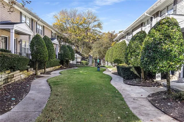 a view of a yard with plants and trees