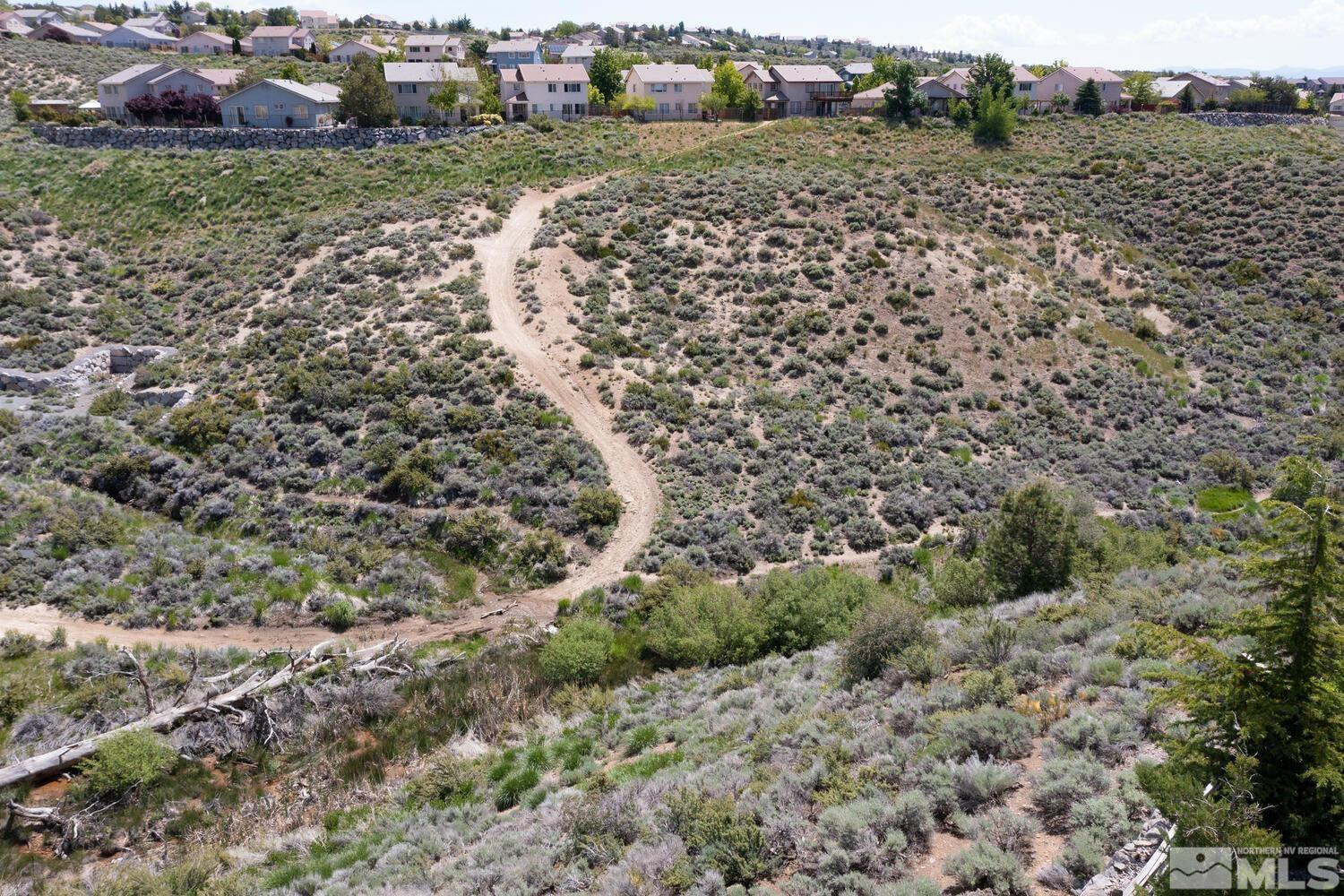 2450 Peavine Creek Road Reno, NV 89523 - Photo 35 of 39 Photo 35