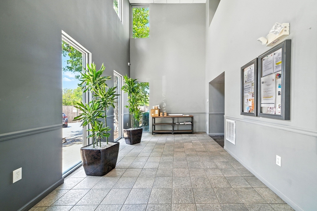210 Broadway, Unit 406 Everett, MA 02149 - Photo 24 of 33 a entryway with flower pots