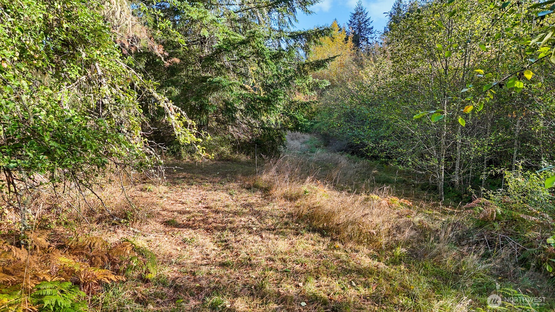 14440 Vantine Road Southeast Tenino, WA 98589 - Photo 12 of 18 a view of a lake with houses