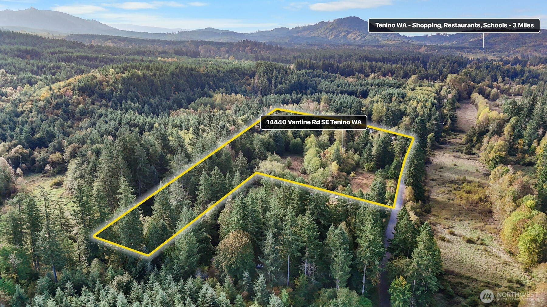 14440 Vantine Road Southeast Tenino, WA 98589 - Photo 18 of 18 an aerial view of a house with a lake view