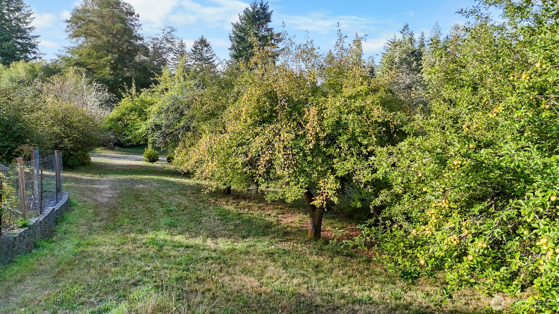 14440 Vantine Road Southeast Tenino, WA 98589 - Photo 5 of 18