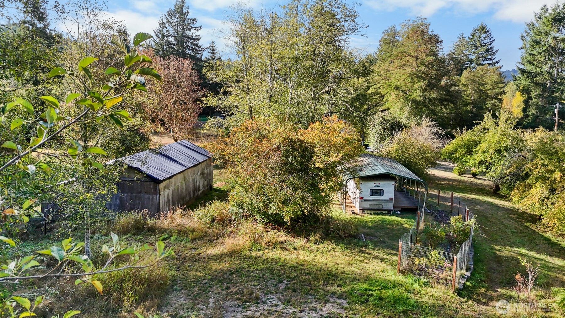 14440 Vantine Road Southeast Tenino, WA 98589 - Photo 7 of 18 a front view of a house with a yard and trees