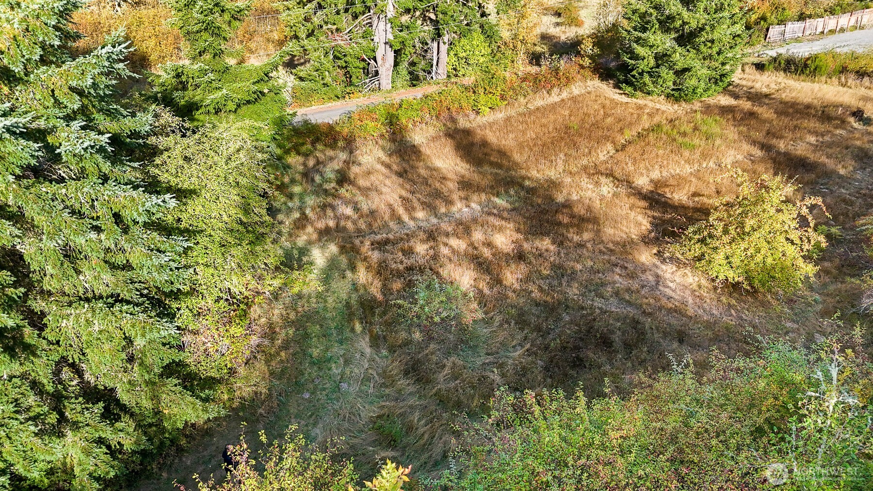 14440 Vantine Road Southeast Tenino, WA 98589 - Photo 8 of 18 a view of yard