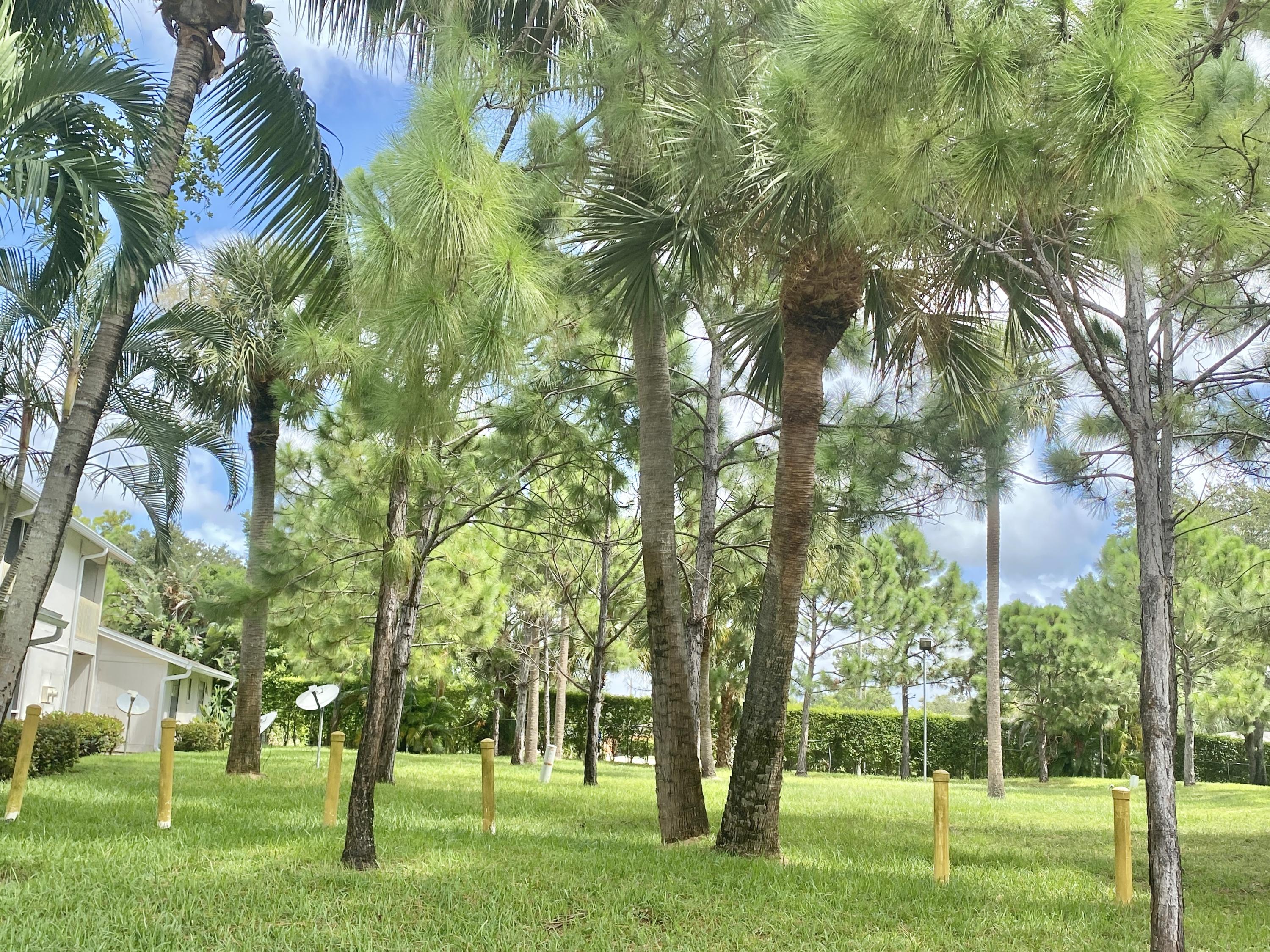 5330 Elmhurst Road, Unit G West Palm Beach, FL 33417 - Photo 21 of 22 65BC43C6-B647-4E45-8576-59144CB3F61A