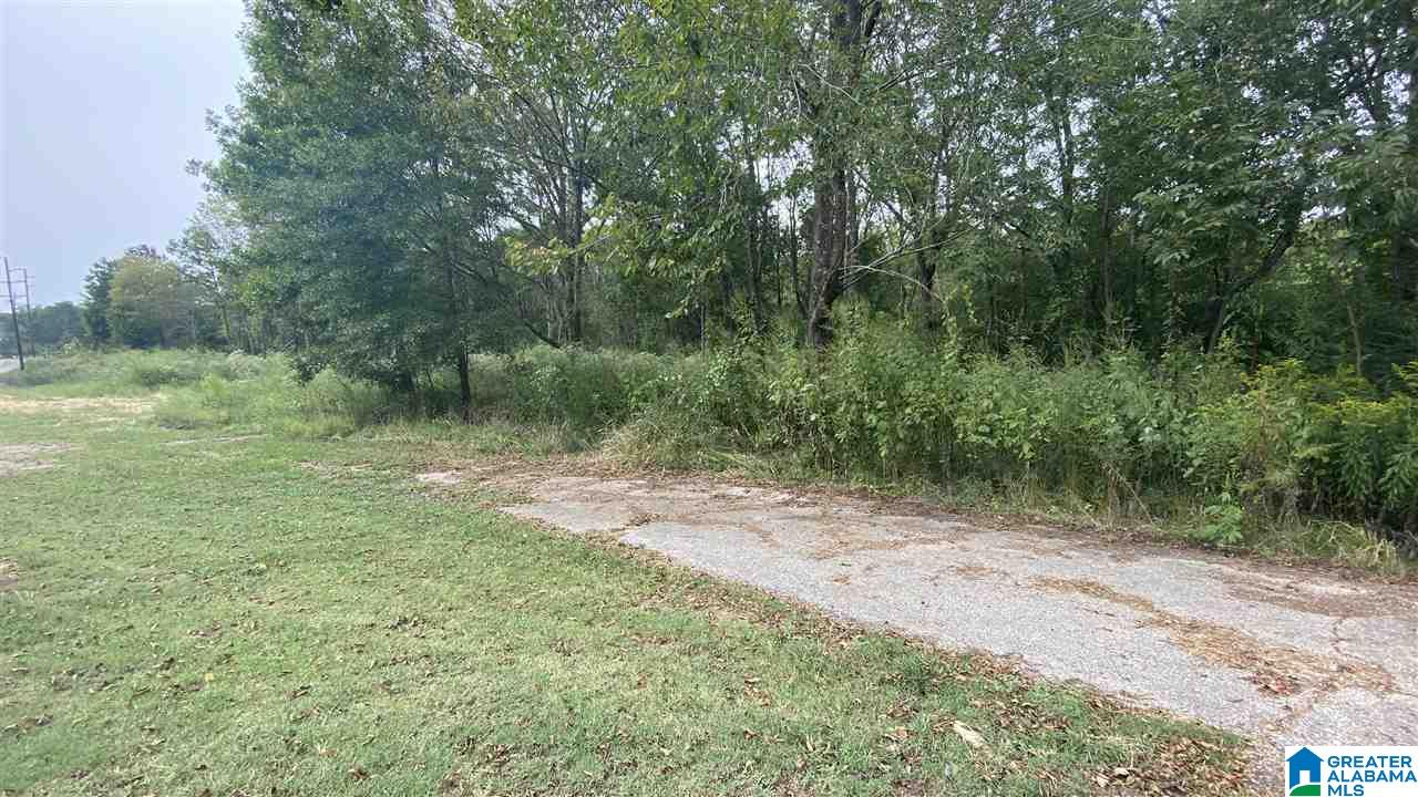 1973 Maxwellborn Road Piedmont, AL 36272 - Photo 4 of 5