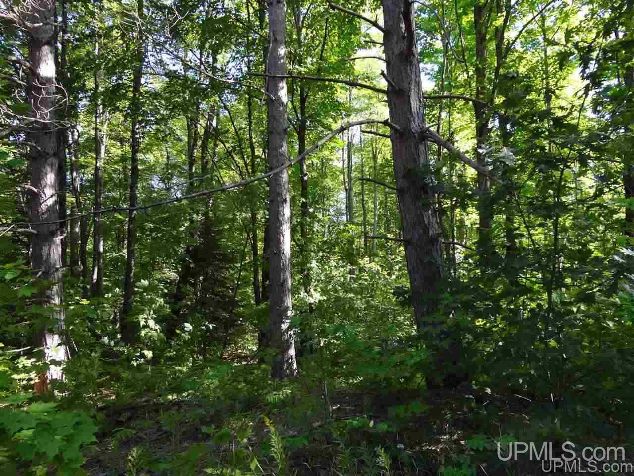 21660 Newberry Road Pelkie, MI 49958 - Photo 23 of 40