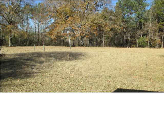 124 Goss Road Walnut Grove, MS 39189 - Photo 13 of 14 Property