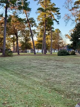 a view of a park with large trees