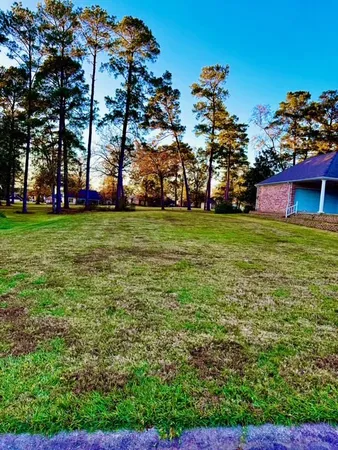 a view of a green field