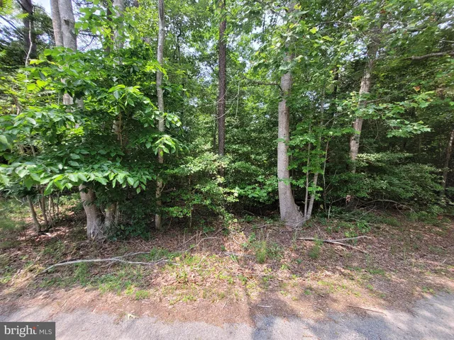 $6,650 | Lot 218 Evergreen Drive, Lancaster, VA 22503