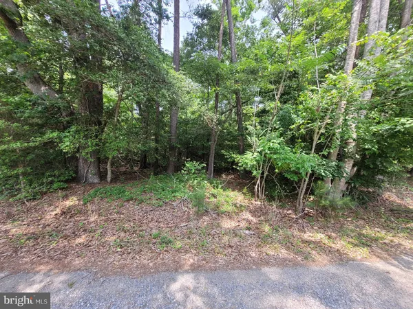 $6,650 | Lot 218 Evergreen Drive, Lancaster, VA 22503