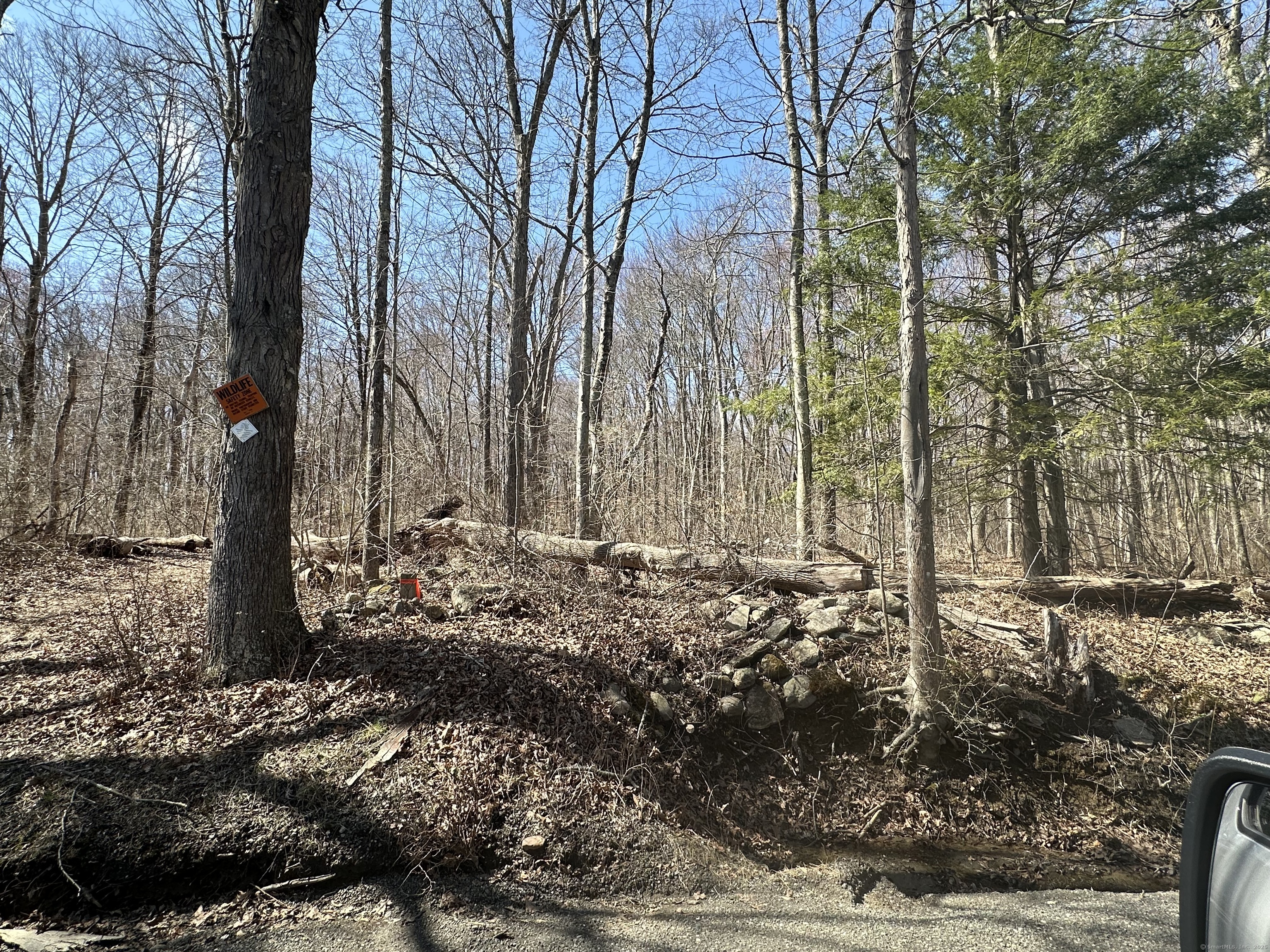 0 Cowles Road Woodbury, CT 06798 - Photo 12 of 12