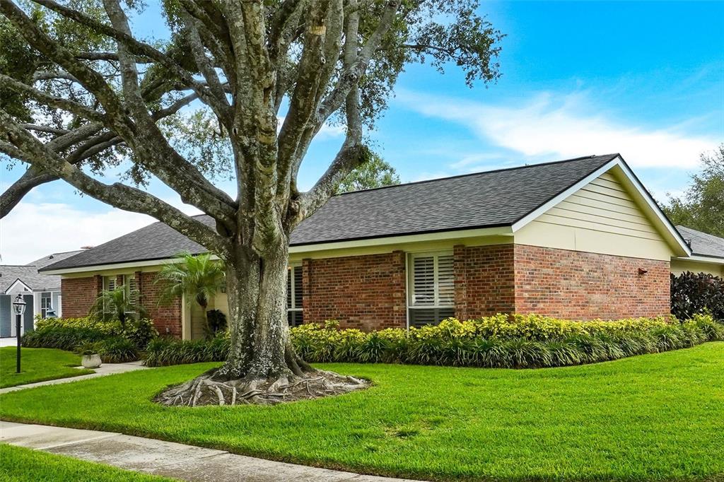 11816 Lipsey Road Tampa, FL 33618 - Photo 3 of 50