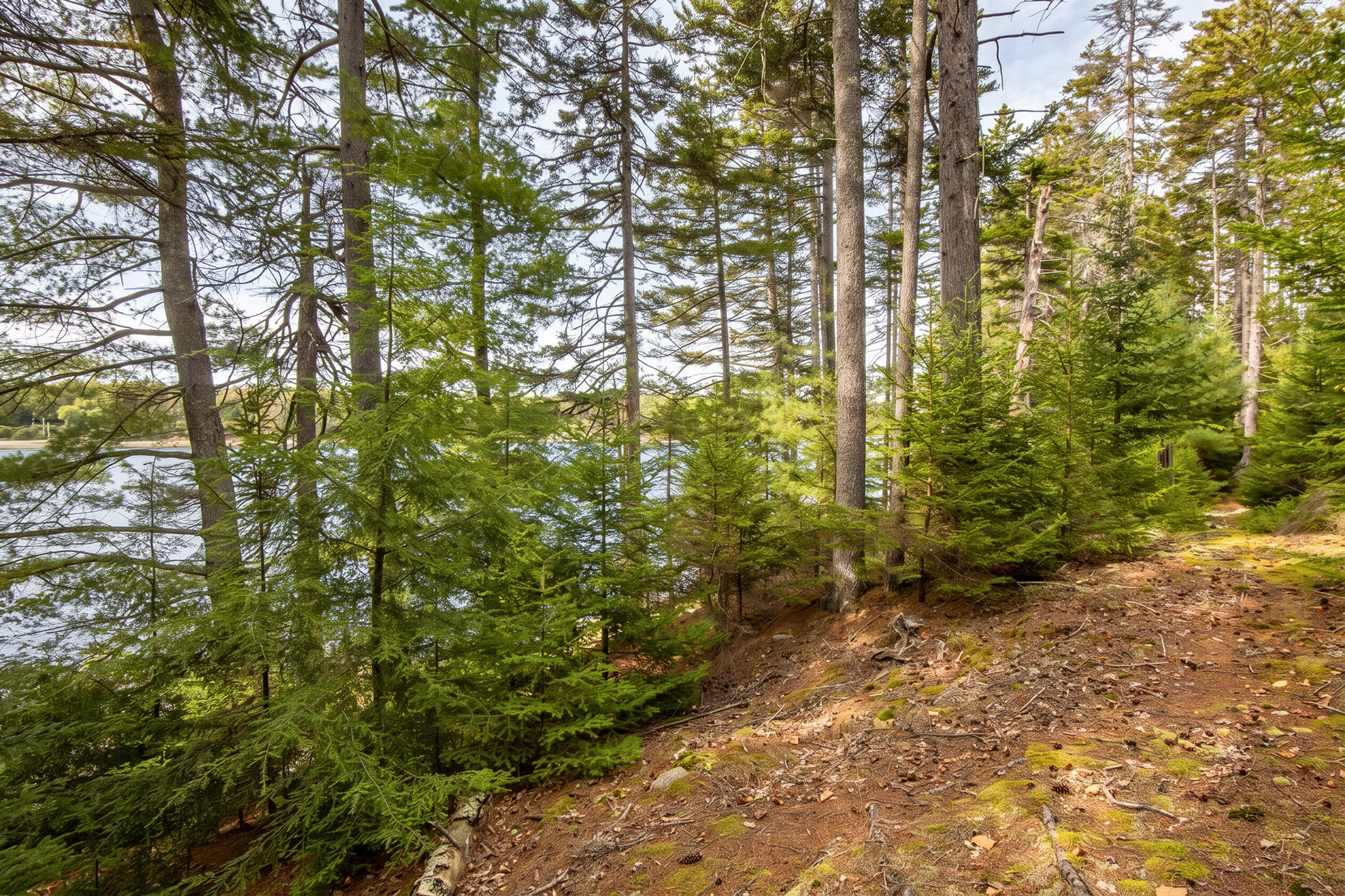 Lot 7 Ocean Ridge Road Cushing, ME 04563 - Photo 12 of 20 11-Lot7-OceanRidgeRd-Cushing-KS