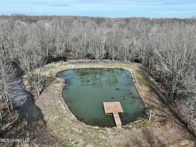 $495,000 | Putnam Road, Belzoni, MS 39038