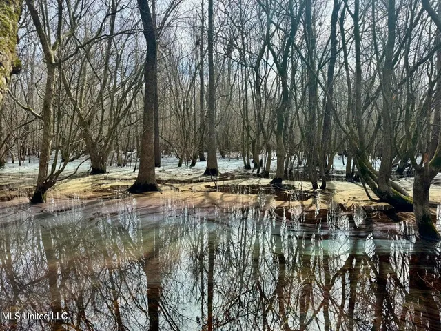 $495,000 | Putnam Road, Belzoni, MS 39038