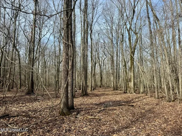 $495,000 | Putnam Road, Belzoni, MS 39038