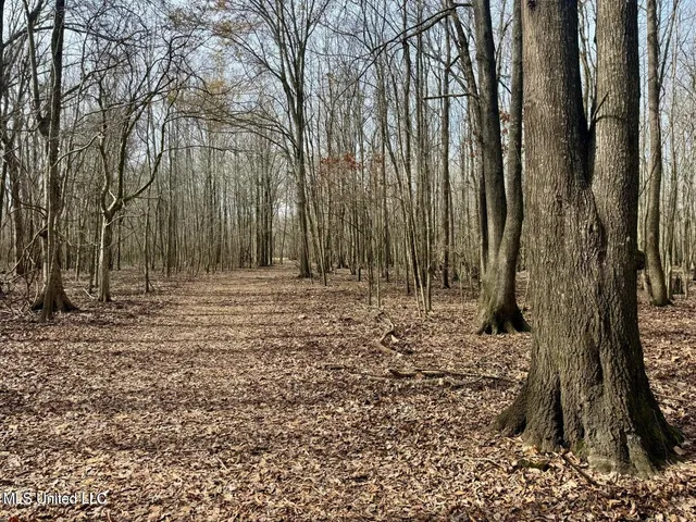 $495,000 | Putnam Road, Belzoni, MS 39038