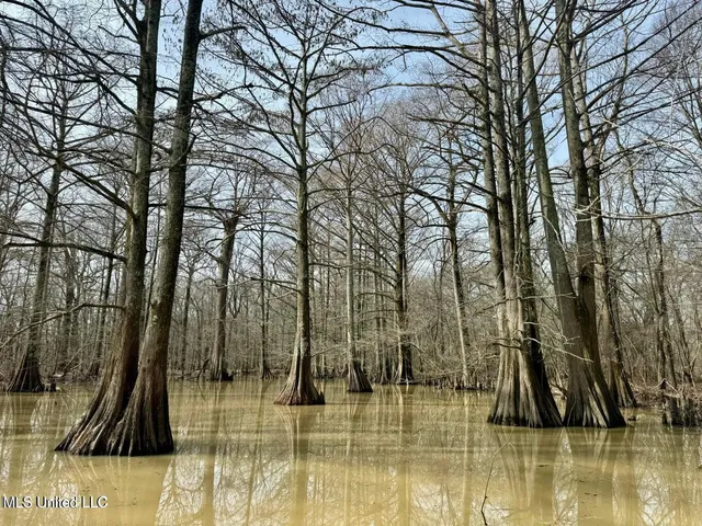 $495,000 | Putnam Road, Belzoni, MS 39038