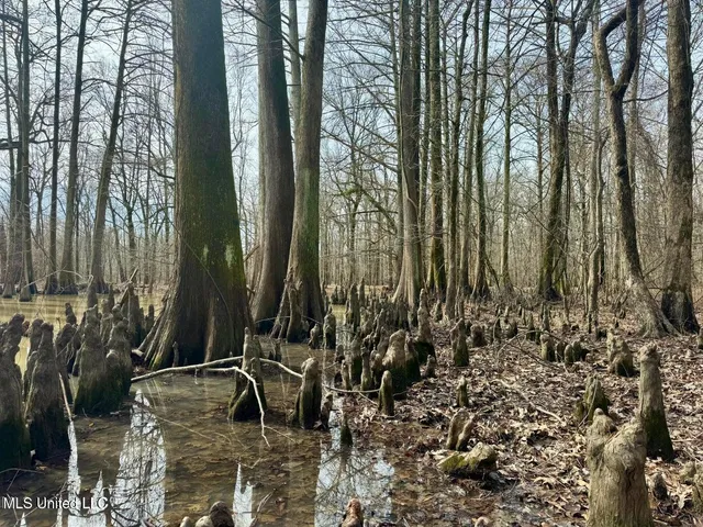 $495,000 | Putnam Road, Belzoni, MS 39038