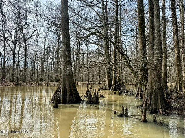 $495,000 | Putnam Road, Belzoni, MS 39038