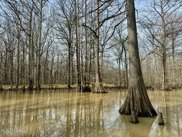 $495,000 | Putnam Road, Belzoni, MS 39038