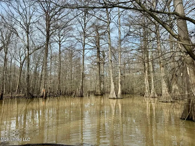 $495,000 | Putnam Road, Belzoni, MS 39038