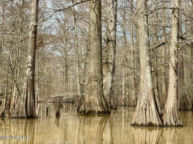 $495,000 | Putnam Road, Belzoni, MS 39038