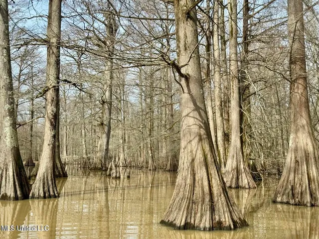 $495,000 | Putnam Road, Belzoni, MS 39038