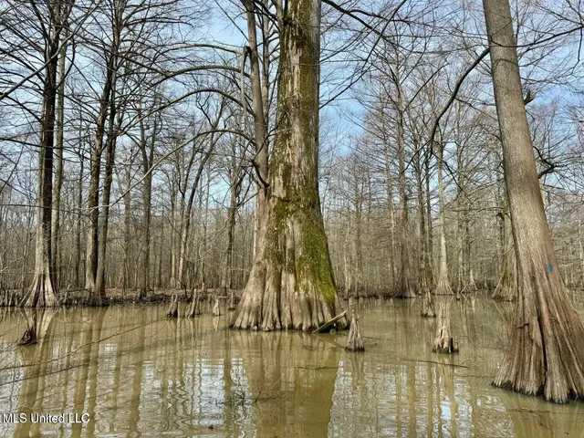 $495,000 | Putnam Road, Belzoni, MS 39038