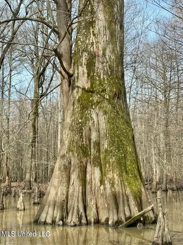 $495,000 | Putnam Road, Belzoni, MS 39038