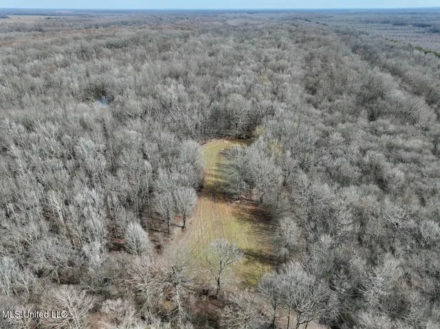 $495,000 | Putnam Road, Belzoni, MS 39038