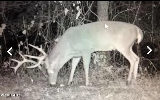 $495,000 | Putnam Road, Belzoni, MS 39038