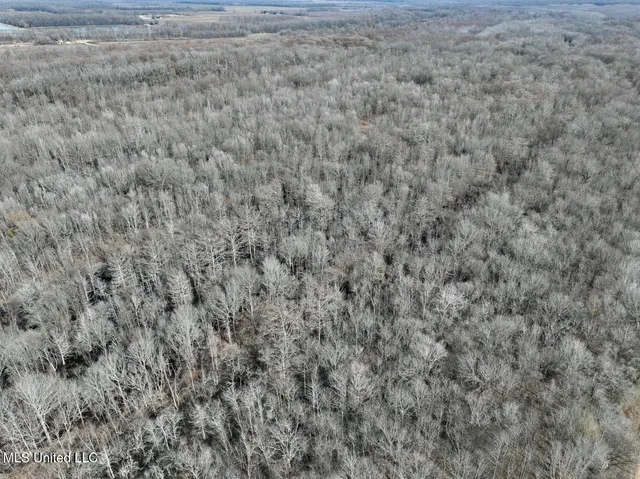 $495,000 | Putnam Road, Belzoni, MS 39038