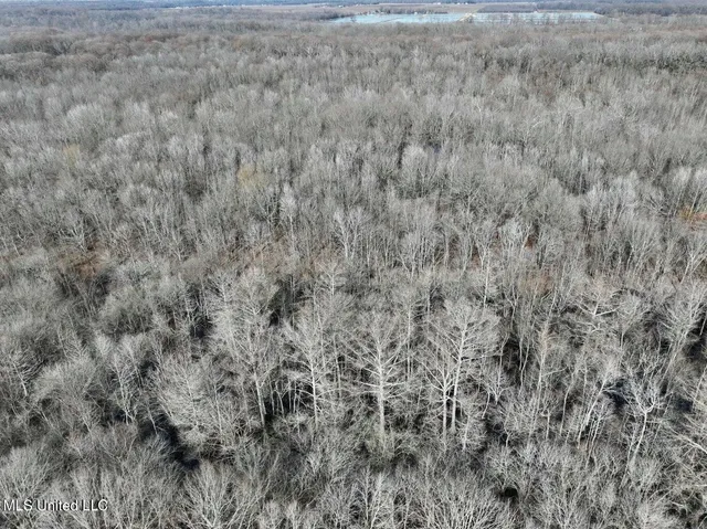 $495,000 | Putnam Road, Belzoni, MS 39038