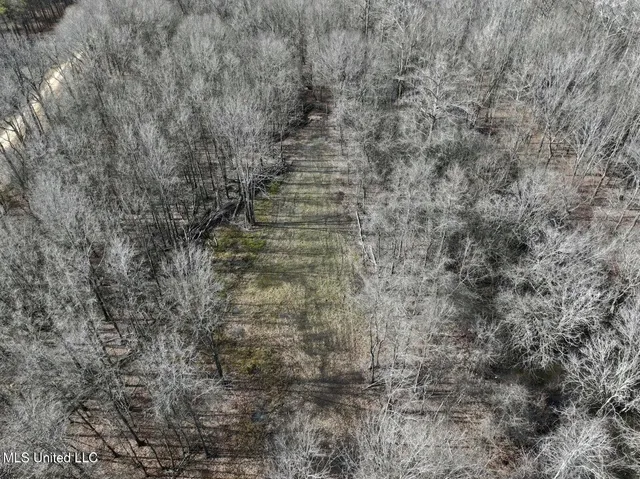 $495,000 | Putnam Road, Belzoni, MS 39038