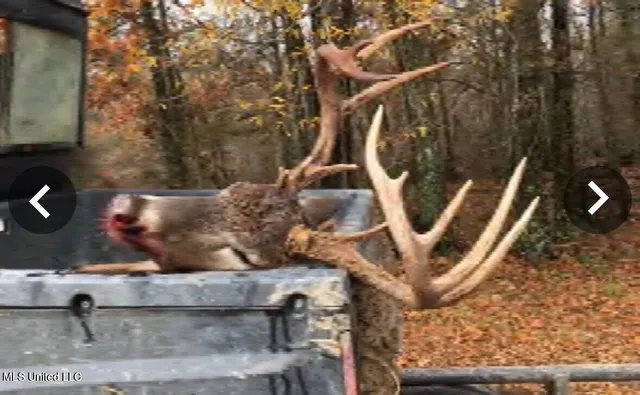 $495,000 | Putnam Road, Belzoni, MS 39038