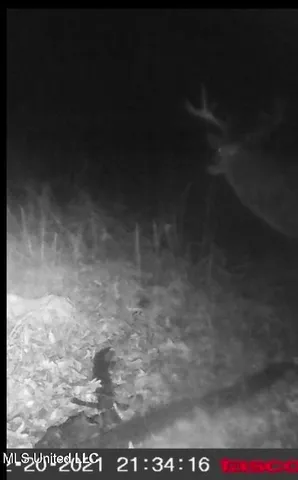 $495,000 | Putnam Road, Belzoni, MS 39038