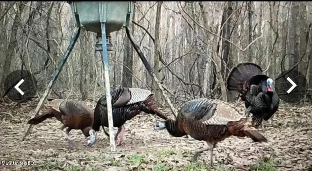 $495,000 | Putnam Road, Belzoni, MS 39038