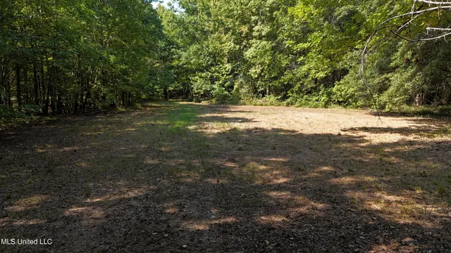 $495,000 | Putnam Road, Belzoni, MS 39038