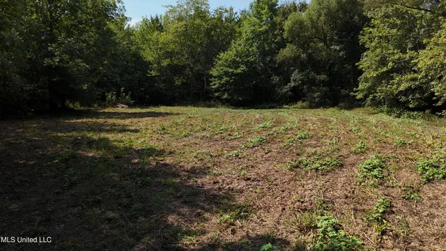 $495,000 | Putnam Road, Belzoni, MS 39038