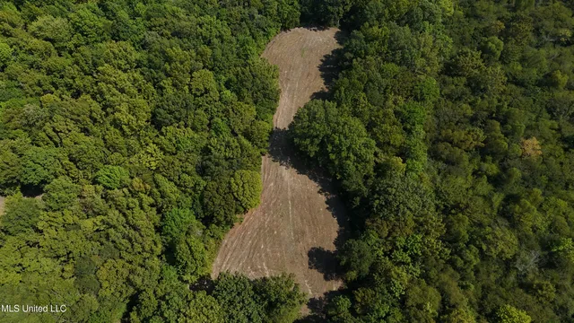 $495,000 | Putnam Road, Belzoni, MS 39038